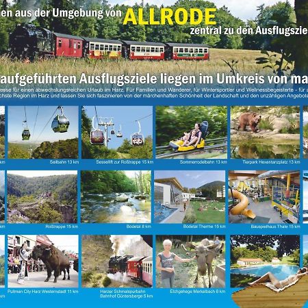 Ferienanlage Harzfreunde Allrode Bagian luar foto