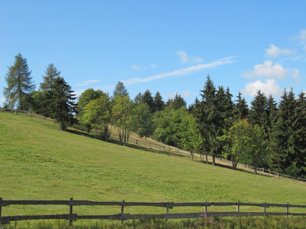 Ferienanlage Harzfreunde Allrode Bagian luar foto